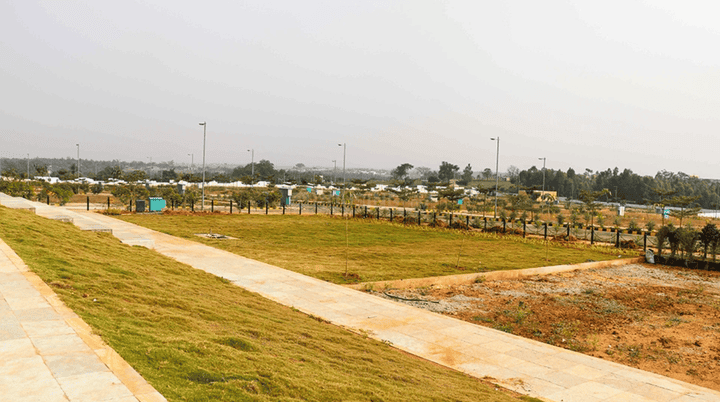 Gallery Cover Pic of Sattva Pipal Tree