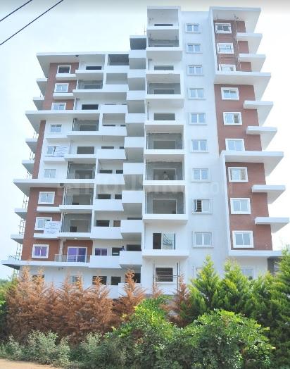 Gallery Cover Pic of Kumari Amaranthine