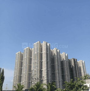 Marathon Nexzone Phase 3 S6 Wing D Elevation 1