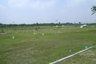 Aparna Kanopy Jasmine