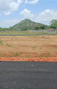 B Thirumala Garden Project Images