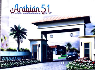 Arabian 51 Project Images