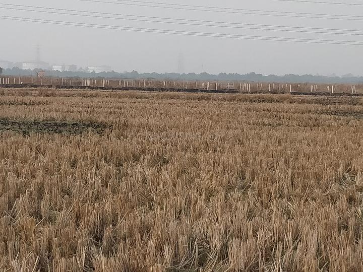 Gallery Cover Pic of Towncity Plots In Vindhane