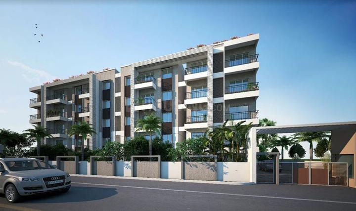 Hilife Rio More Images 1