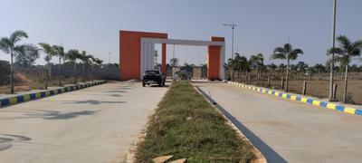 Lotus Gardens Premium