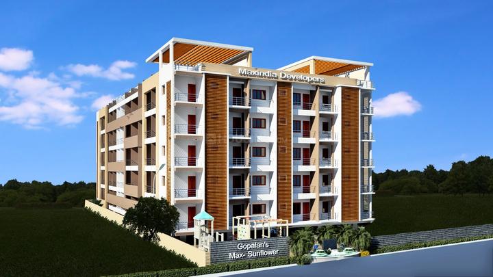 Gallery Cover Pic of Max Sunflower