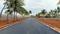 Staar Vit Avenue Elevation 1