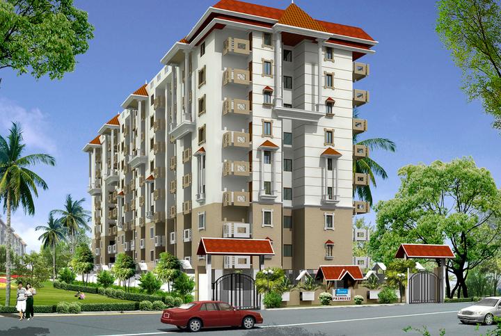 Gallery Cover Pic of Oceanus Primrose