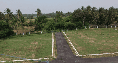 M P S Garden Project Images