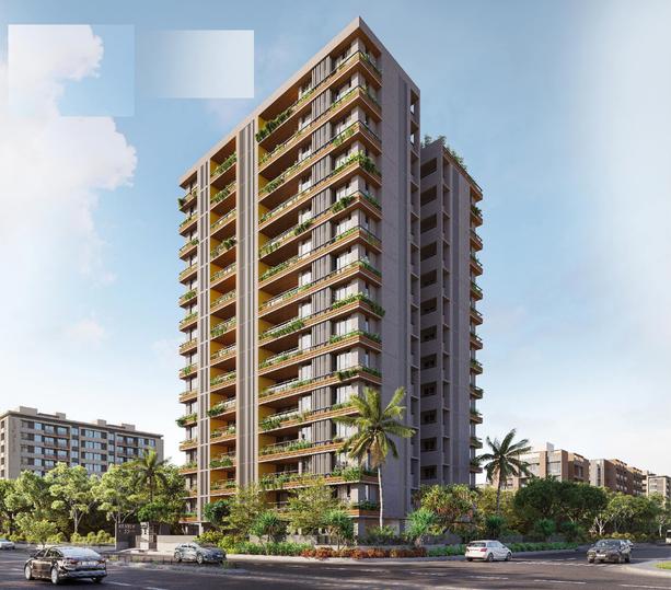 Gallery Cover Pic of Status 55