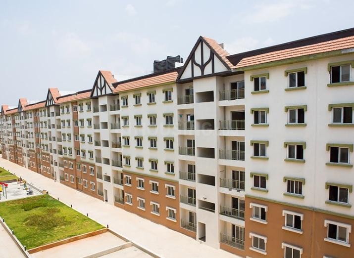 Gallery Cover Pic of SJR Hamilton Homes