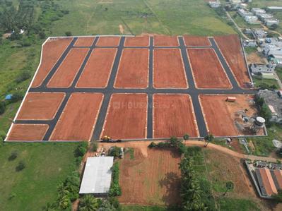 Kingsman Avenue Project Images