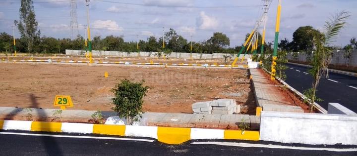 Global Village Elevation 1