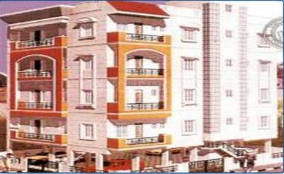 DS Max Ashraya Height