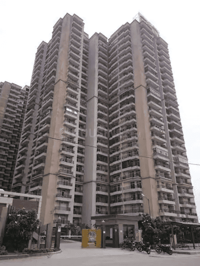 Gallery Cover Pic of Saviour Greenisle