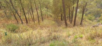 Gallery Cover Pic of OSD Plots