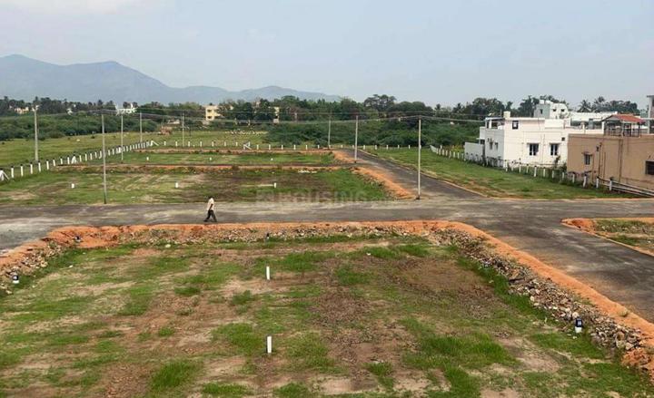 P Thangaraj R V Nagar Extension Main Image 1