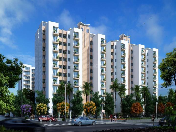 Gallery Cover Pic of Genesis Flora