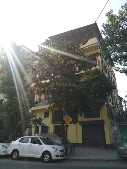 Gallery Cover Pic of Multicon Tulip