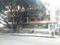 Gallery Cover Pic of RMZ Woodsvale