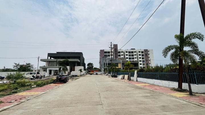 Gallery Cover Pic of Redwood Platinum