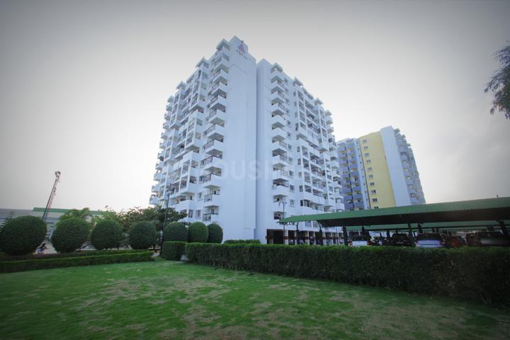 Alpine Pyramid Iris Main Image 1