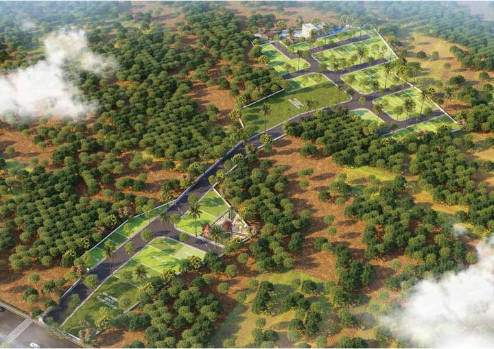 Gallery Cover Pic of The Blue Oak