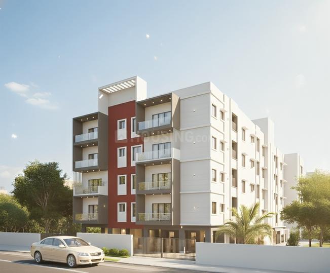 Gallery Cover Pic of NS DTLA Palm 127