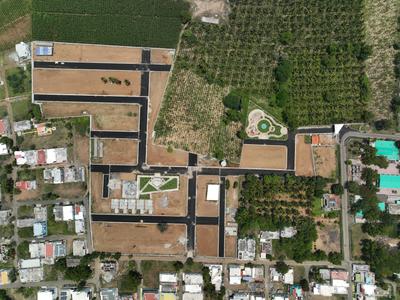 Ecovistalife Mount Shadows