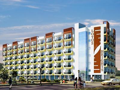 Lotus Height - Image 1