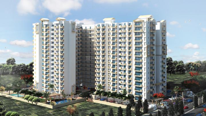 Gallery Cover Pic of MR Platinum 321