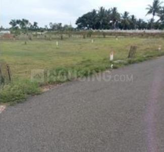 Gallery Cover Pic of Nachiyar Garden