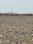 Invest Mahamumbai Plots In Jui Elevation 1