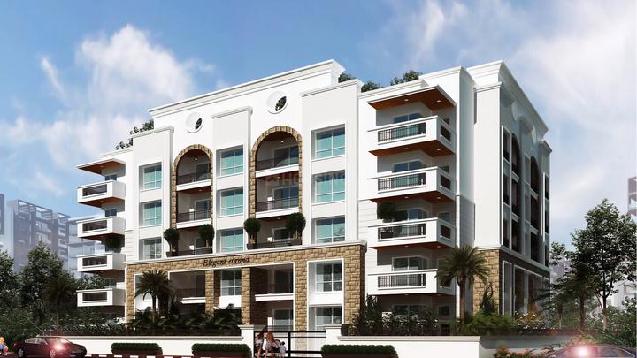 Gallery Cover Pic of Elegant Corona