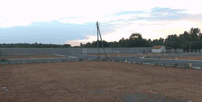 Vel Avenue Project Images