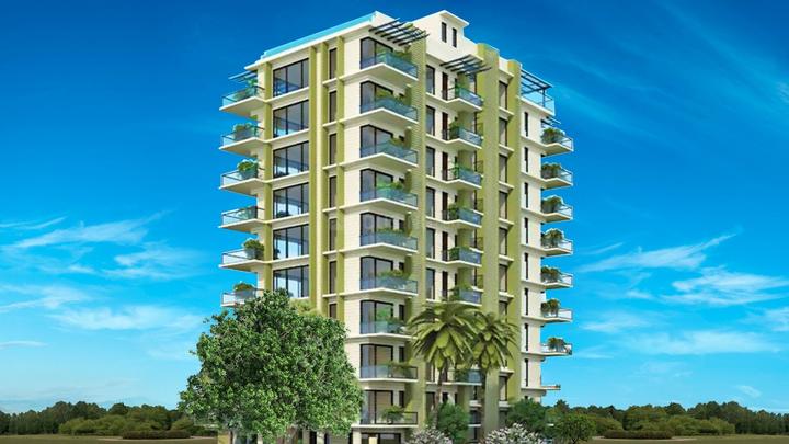 Gallery Cover Pic of CR The Big Tree