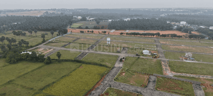 Gallery Cover Pic of Park Avenue