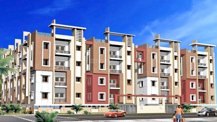 Tetra Grand Green Elite More Images 1