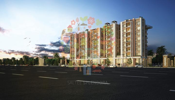 Gallery Cover Pic of Saltee Splendora