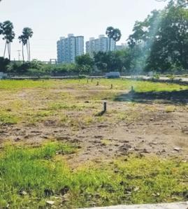 Elephantine Bliss In The Town Phase II