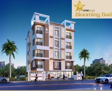 Gallery Cover Pic of Starwood Blooming Bud