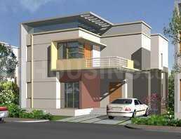 Confident Rigel More Images 1