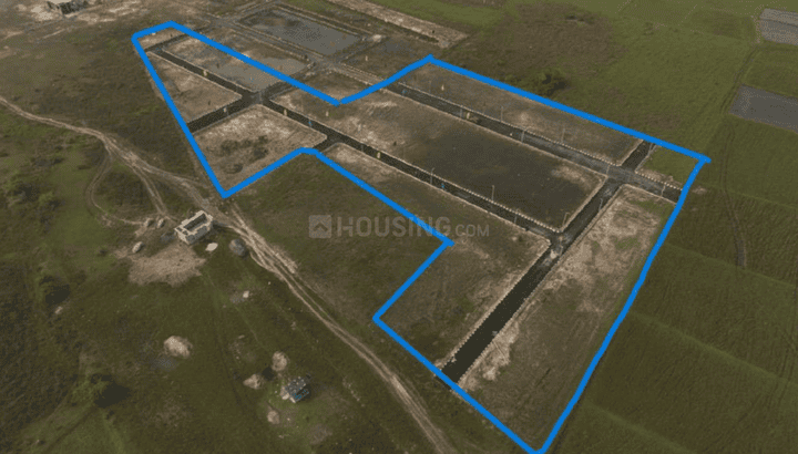 Gallery Cover Pic of Mother Land Phase VI