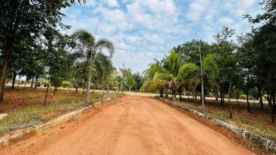 Project Image of 201 Sq.ft Residential Plot / Land for sale in Alair for Rs. 1800000