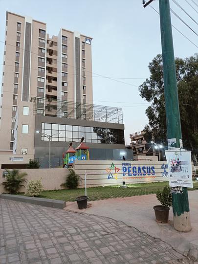 Gallery Cover Pic of Pride Pegasus