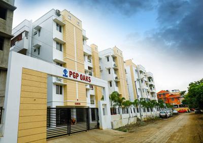 PGP Oaks