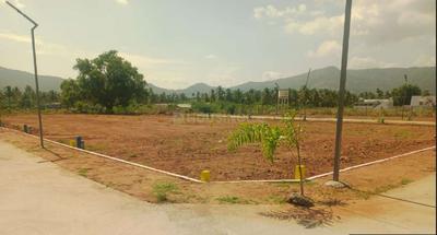 Gallery Cover Pic of Sri Aranganathar Avenue