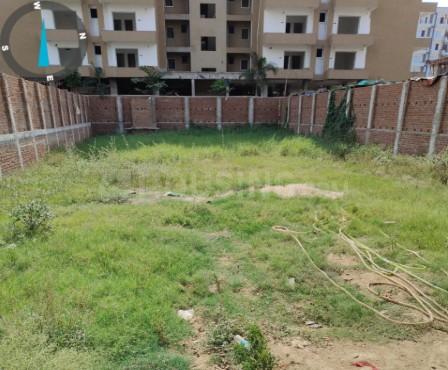 Gallery Cover Pic of Arika Kanak Regency