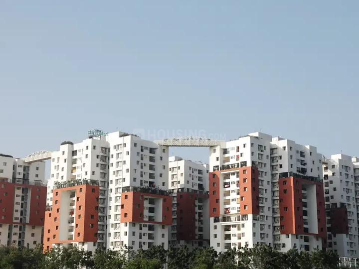 Gallery Cover Pic of SPR Osian Chlorophyll