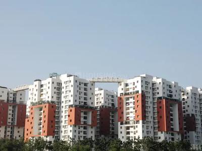 SPR Osian Chlorophyll